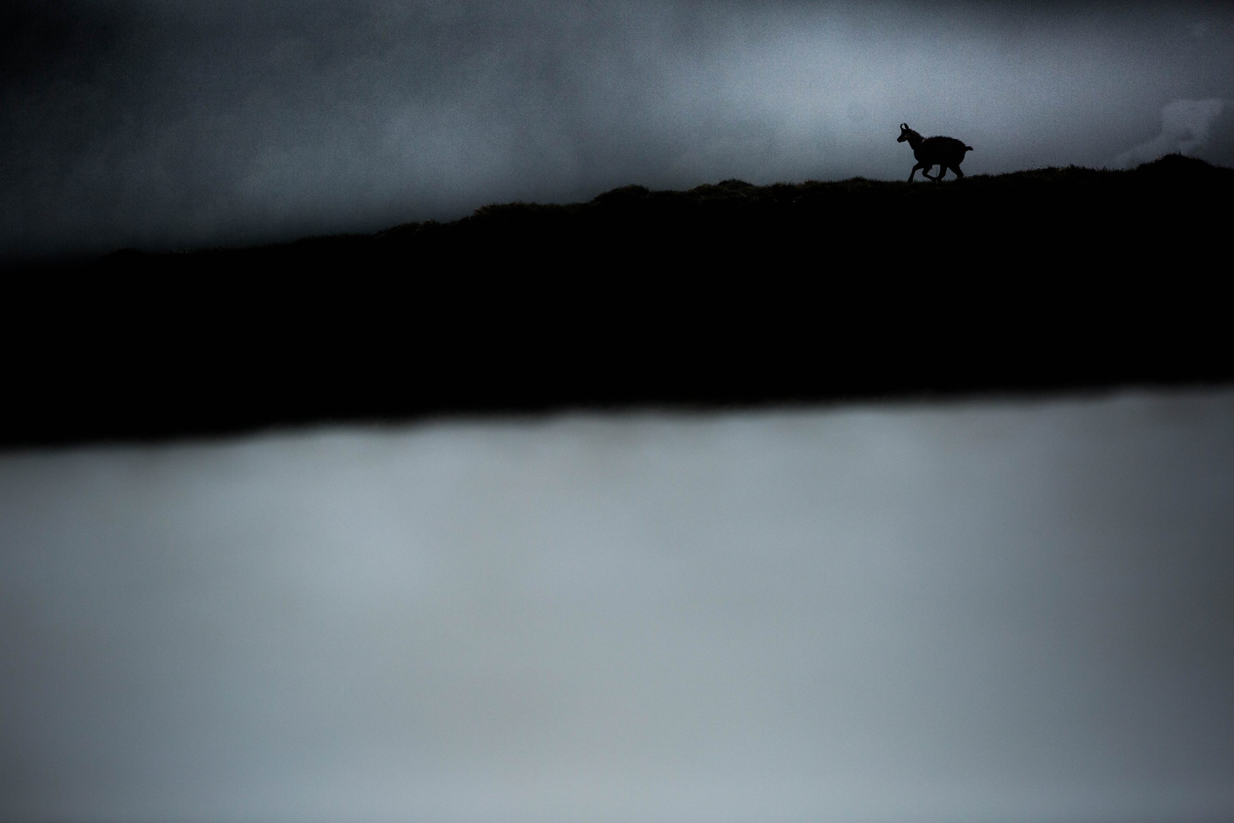 Le vide