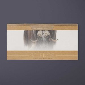 Livre : Silence