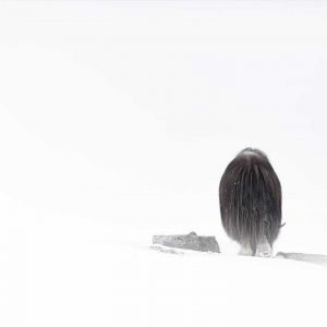 Photo d'art : Adieu