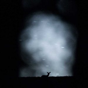 Photo d'art : Alerte