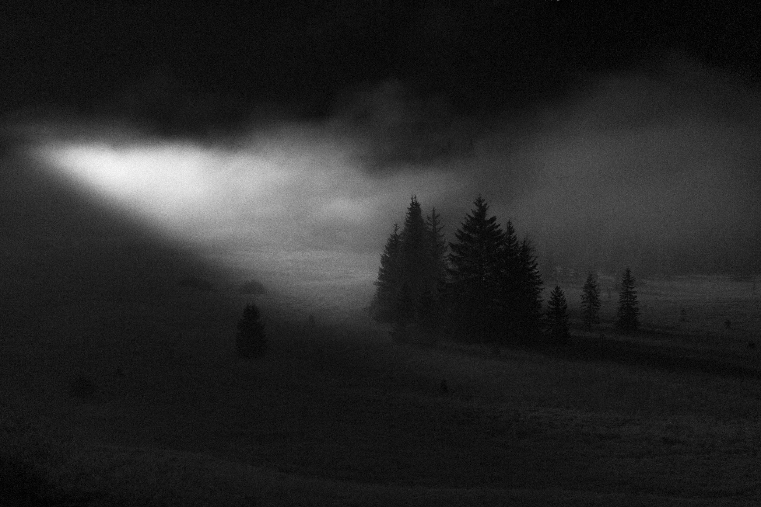 Apparition