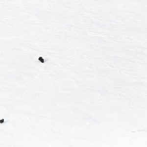 Photo d'art : Ascension