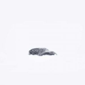 Photo d'art : Bienveillance