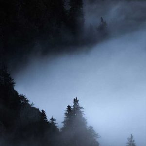 Photo d'art : Brume