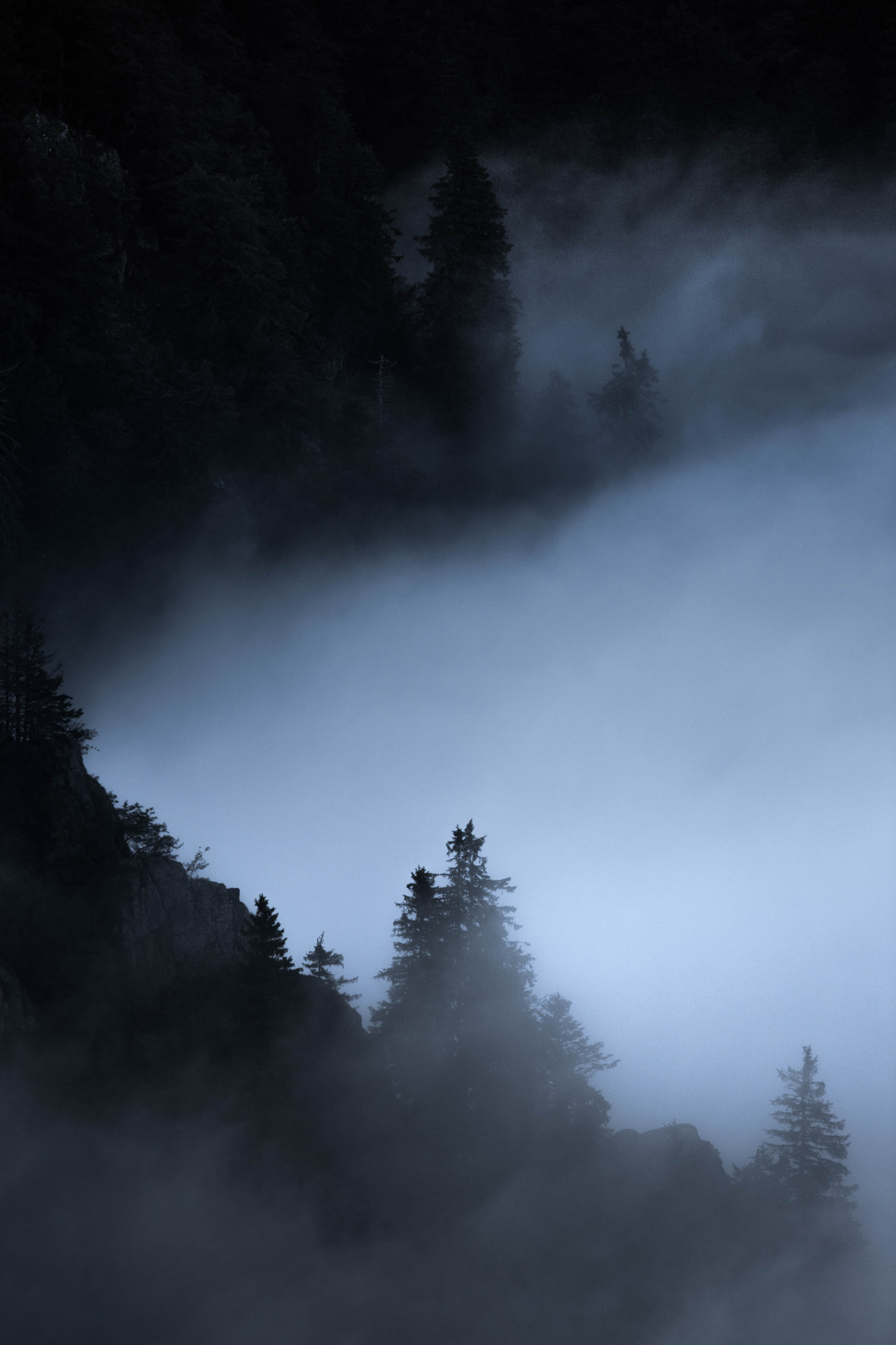 Brume