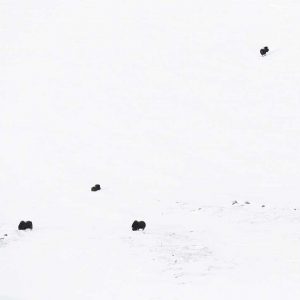 Photo d'art : Eparpiller