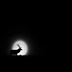 Photo d'art : Lunaire