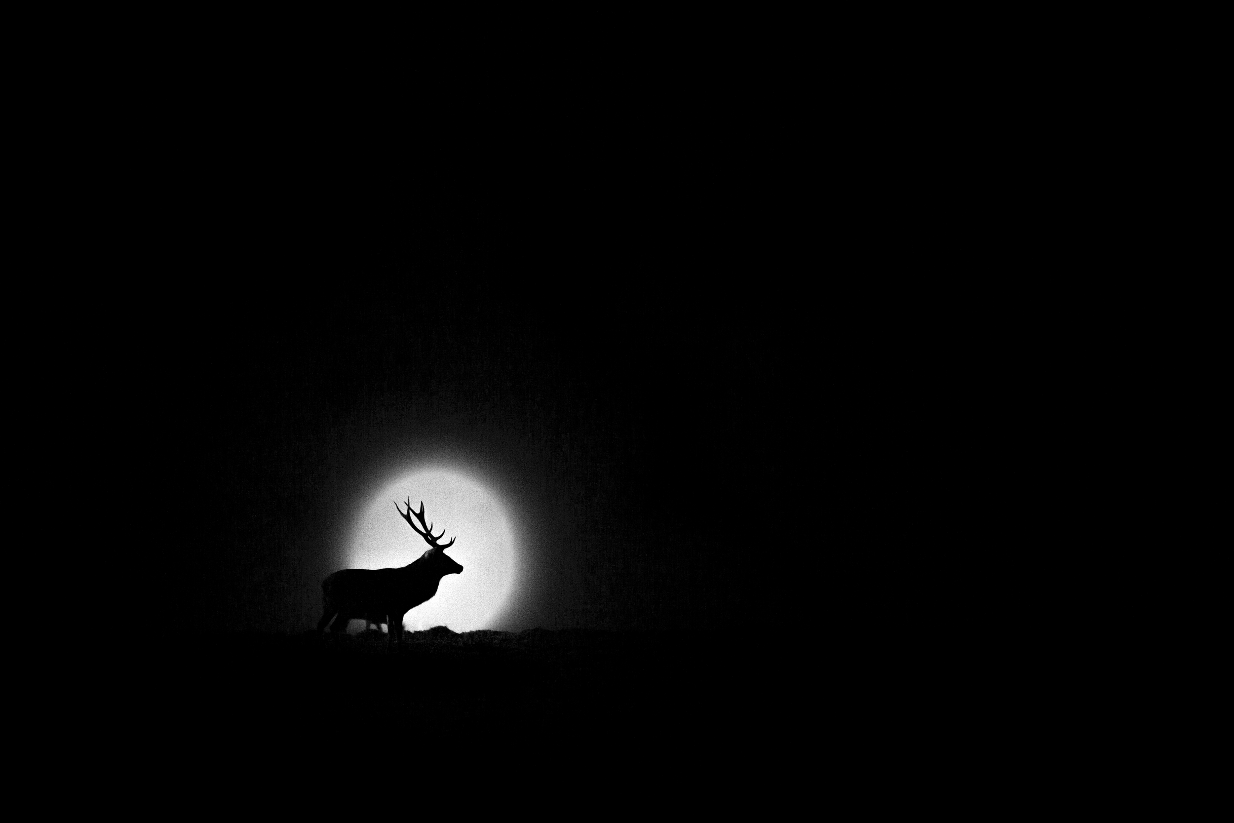 Lunaire