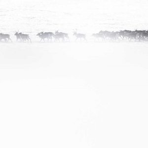 Photo d'art : Nomade